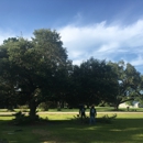 Greenfield Tree Service - Tree Service
