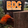BDC Tree Service gallery