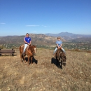 Turtle Rock Ridge Vineyard & Winery - Tourist Information & Attractions