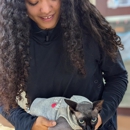 VCA East Mill Plain Animal Hospital - Veterinarians