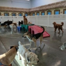 Ruff House Pet Resort - Pet Boarding & Kennels