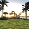 Barefoot Grass Lawn Care & Pest Control gallery