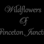 Wildflowers of Princeton Junction, Inc