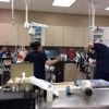 Arizona Veterinary Dental Specialists - Gilbert gallery