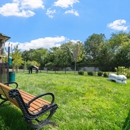 Synergy at the Meadows - Apartments