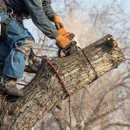 EJT Tree Service - Tree Service