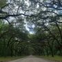 Wormsloe Historic Site