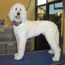 The Pampered Pet Grooming and Spa - Pet Grooming