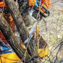 Meinhart's Tree Service - Tree Service