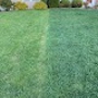 Superior Lawn Management