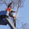 Fayetteville Tree Care Services gallery