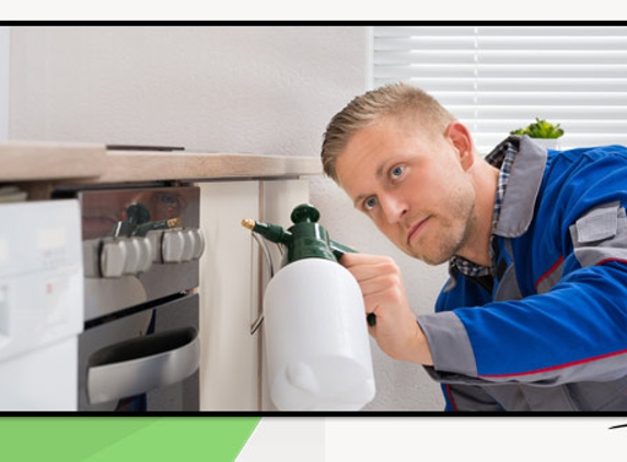 Termite Technology - Albury, NSW. Termite Control & Treatments