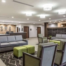 Comfort Inn & Suites Snyder - Motels