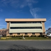 Ellie Mental Health gallery