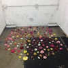 Santa Monica College gallery