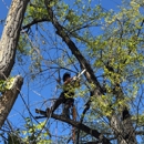 Elevate Tree Care - Tree Service