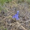 Eden Valley Guest Ranch gallery
