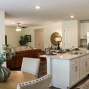 Oak Tree - Homes for Rent - Apartments