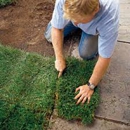 Riverside Sod - Sod & Sodding Service