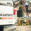 Catseye Pest Control - Hartford, CT gallery