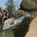 Stoneberger's Tree Service - Tree Service