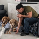 Tribe K9 - Pet Training