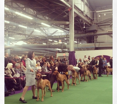 Westminster Kennel Club - New York, NY