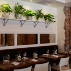 White Maple Café