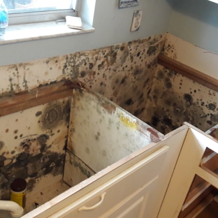 Mr. Dry Out, Inc. - Hudson, FL. Hidden mold can cause health issues Mr Dry Out