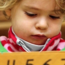 Little Blossom Montessori School - Preschools & Kindergarten