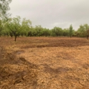 Lone Star Land Restoration - Forestry Consulting