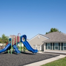 The Meadows Apartments - Apartments