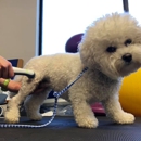 Companion Animal Medical Center - Pet Services