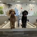 Dirty Dogs Mission Valley - Pet Grooming