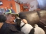 Eynesbury Pet Sitting - Pet Care Services
