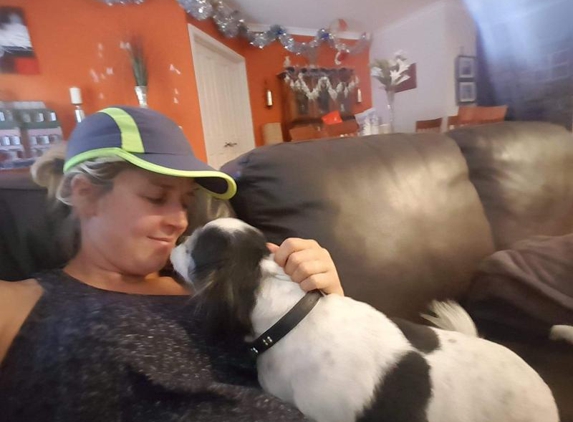 Eynesbury Pet Sitting - Eynesbury, VIC. Our baby Monty being spoiled.