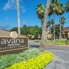 Avana Grand Palms Apartments gallery