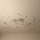 Drywall Repair & Painting - Drywall Contractors