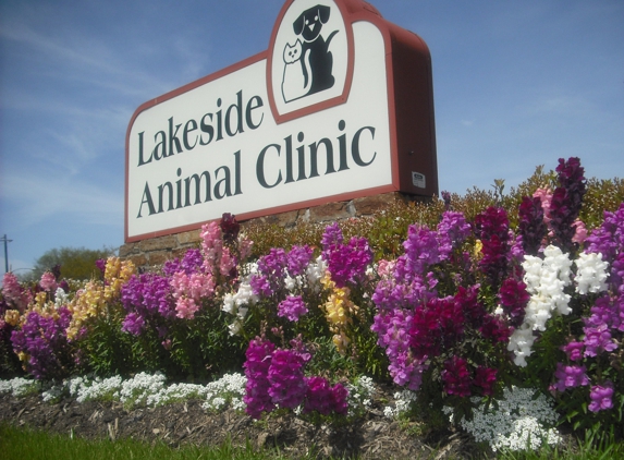 Lakeside Animal Clinic - Houston, TX