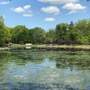 Bergen County Dog Park-Wild Duck Pond Ridgewood