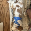 Hound House 901 - Pet Services