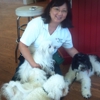 Trusting Paws Dog Training, LLC gallery