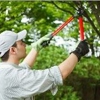 Harry Hannah Tree Service gallery