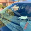 Omega Auto Glass gallery