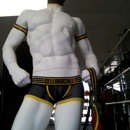 Gear - Novelties
