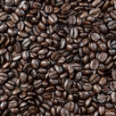 La Colombe Coffee Roasters - Coffee Break Service & Supplies