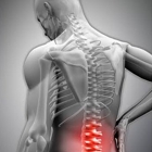 Musculoskeletal Health Centers