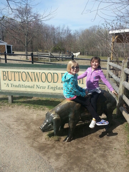 Buttonwood Park Zoo - New Bedford, MA