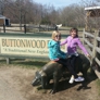 Buttonwood Park Zoo - New Bedford, MA