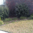Serranos' Lawn Service - Gardeners